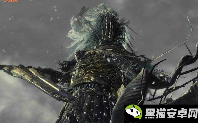 黑暗之魂 3 无名王者与洛斯里克王子无伤通关精彩视频攻略指南