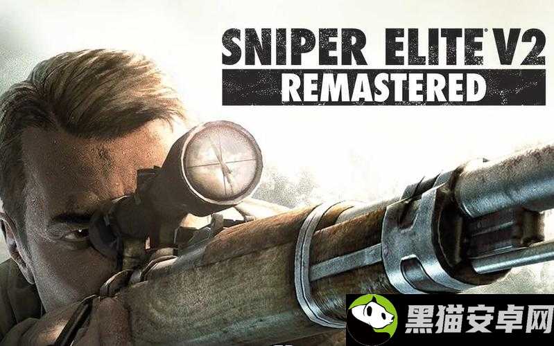 狙击精英 V2 游戏提示 SniperEliteV2 问题的多种解决办法汇总